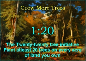 twenty trees